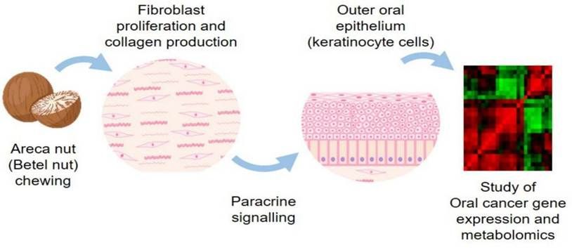1-s2.0-S2590124926000027-ga1_lrg 1-s2.0-S2590124926000027-ga1_lrg